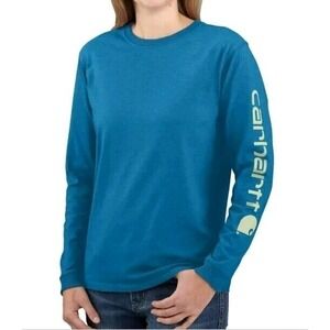 Carhartt W Sz XXL Loose Fit Heavyweight Longsleeve Logo Sleeve Graphic Shirt NWT